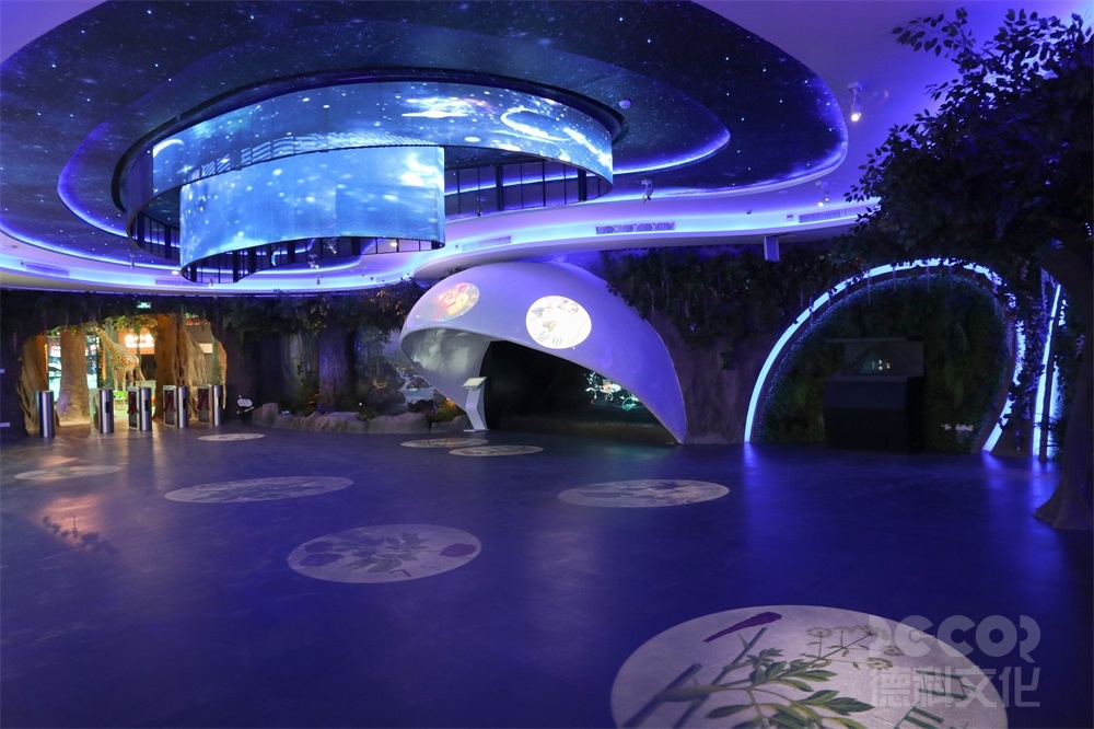 展館設(shè)計(jì)公司如何進(jìn)行設(shè)計(jì)的品牌合作？